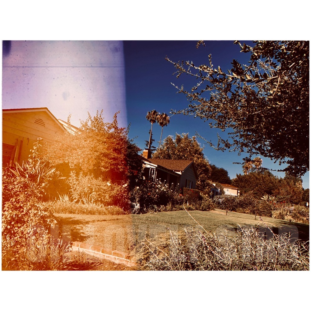 Lovely Star * Original Photography Print